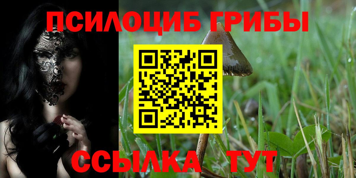 Псилоцибиновые грибы Magic Shrooms  Псилоцибиновые грибы Psilocybine cubensis  Уварово  Вход с VPN 