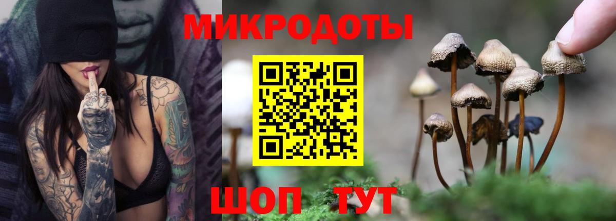 Галлюциногенные грибы Cubensis Уварово